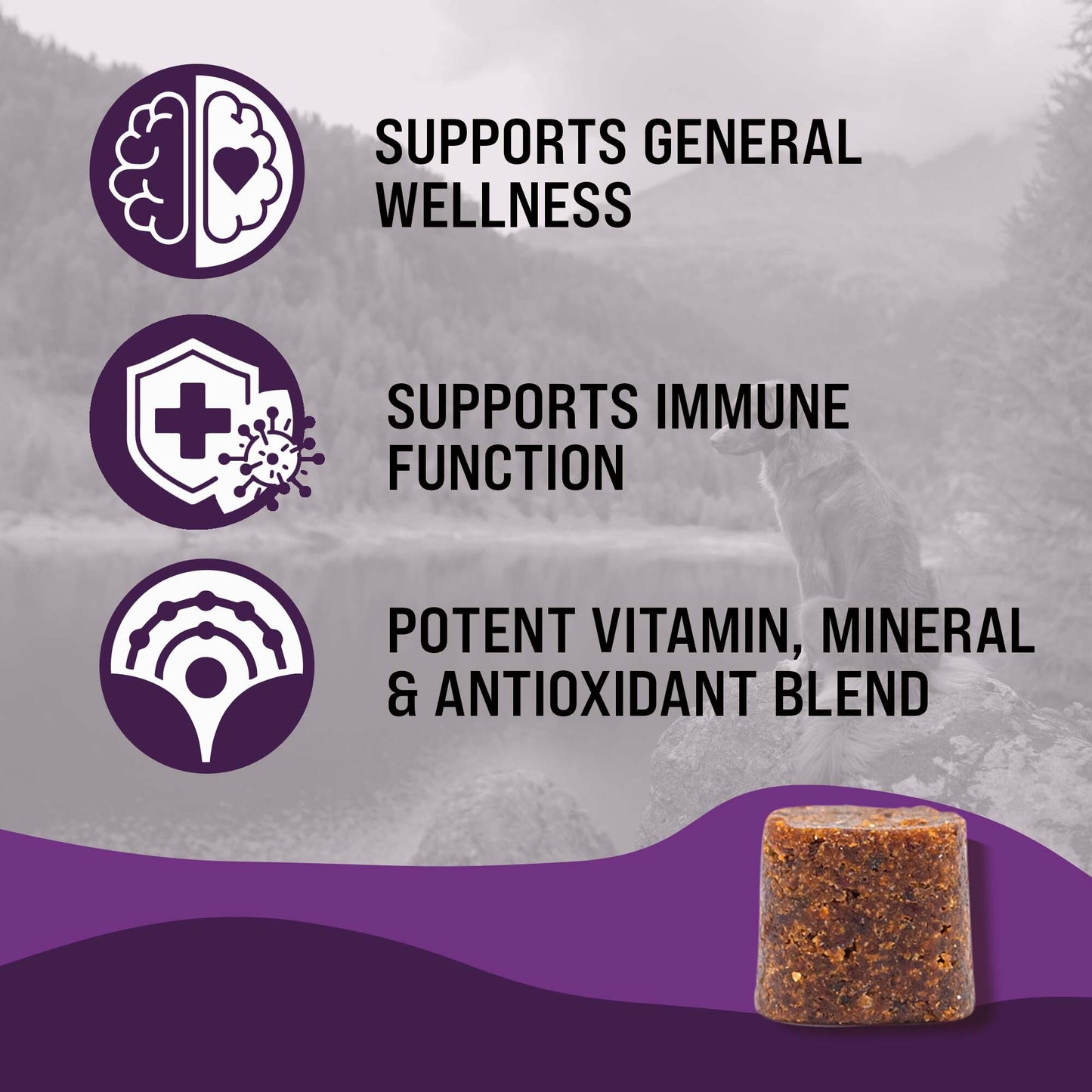 Dr. Boe's Veterinary Essentials MultiPup Vitamin Chews