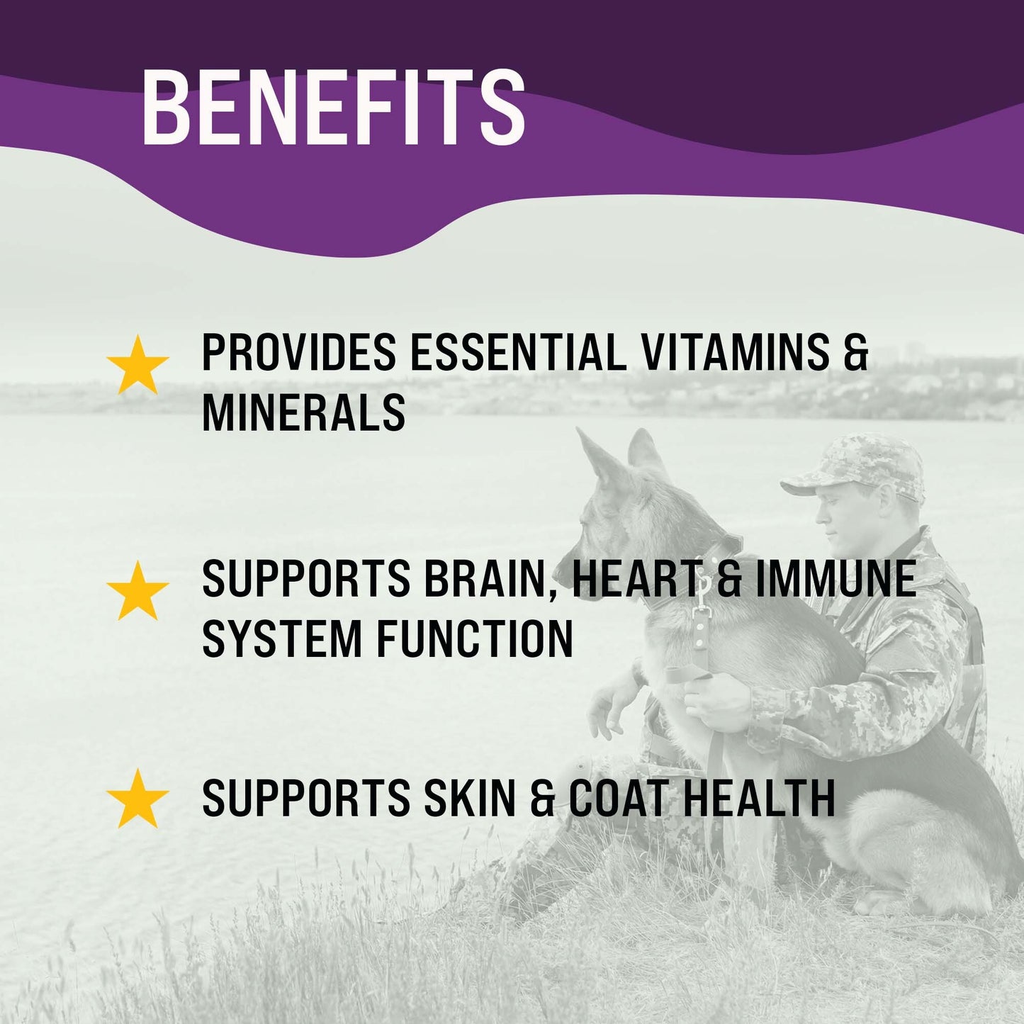 Dr. Boe's Veterinary Essentials MultiPup Vitamin Chews