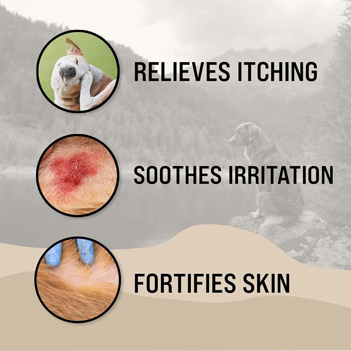 VetraSoothe Medicated Oatmeal Shampoo