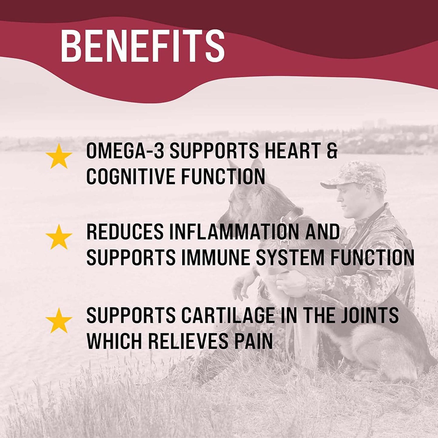 VetraHealth Omega Complete Skin, Joint, Cognitive & Immune System Support for Dogs