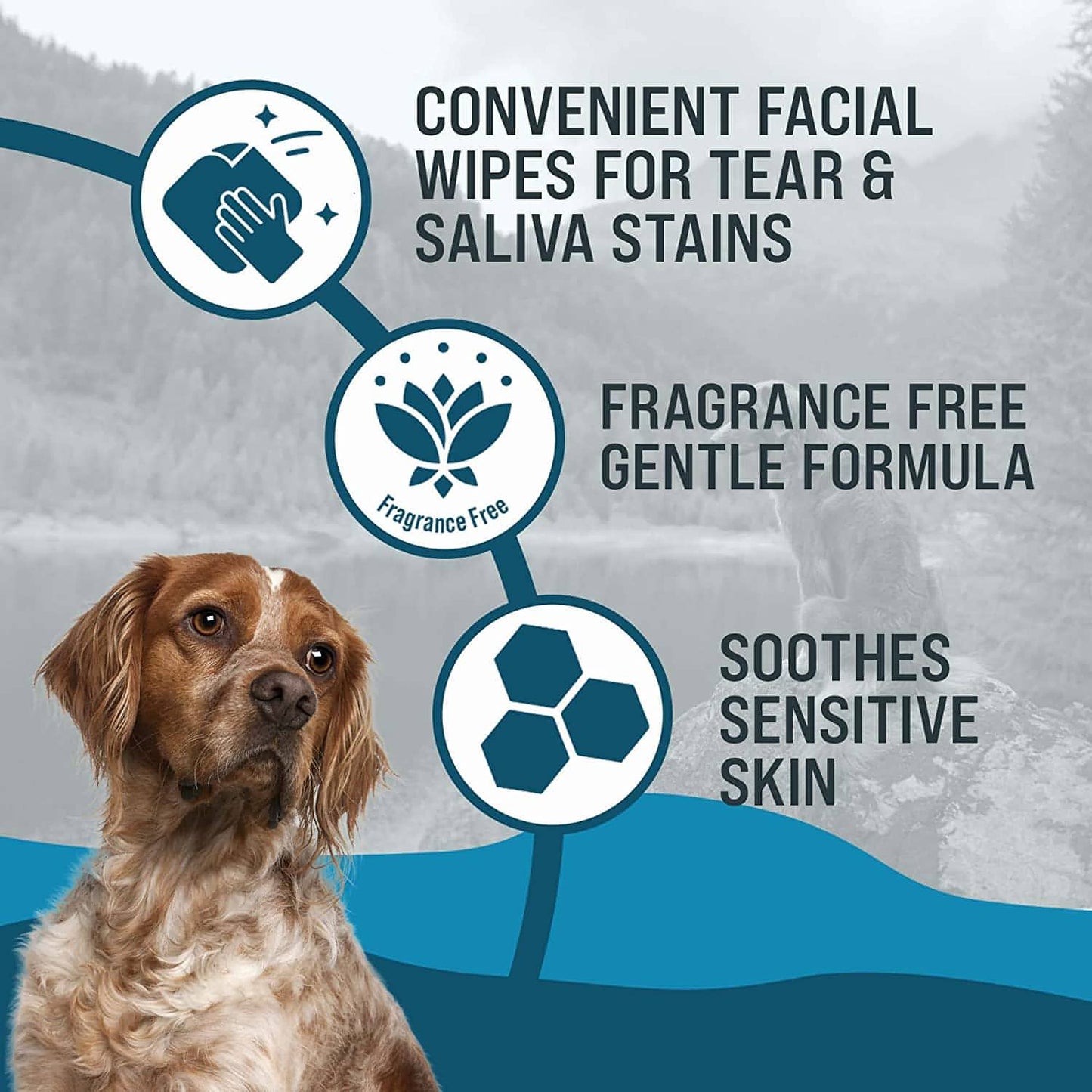 BrightEyes Tear Stain Wipes for Dogs & Cats