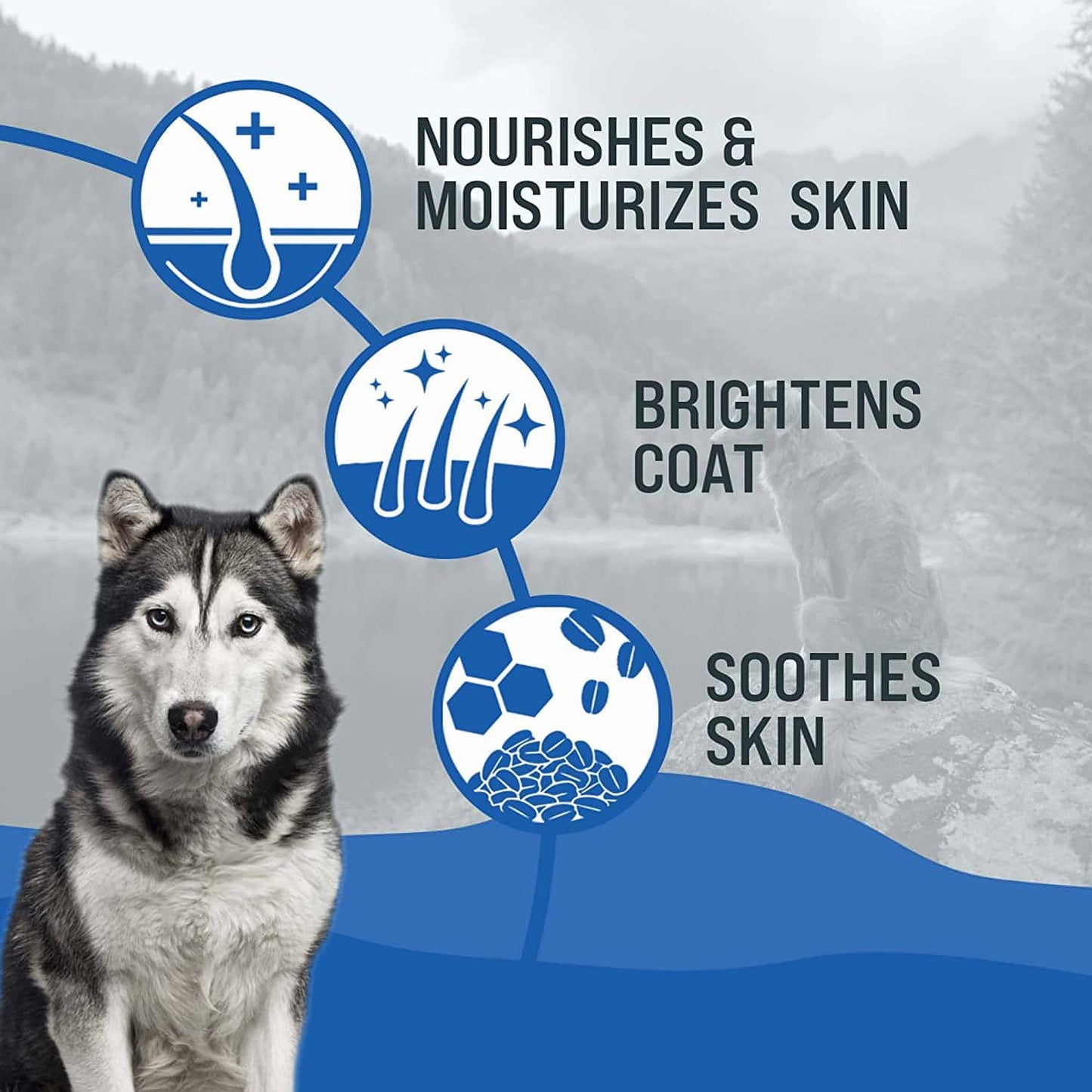 BrilliantCoat Whitening Shampoo & Conditioner for Dogs & Cats