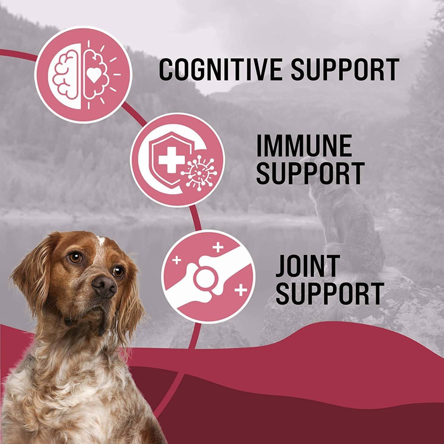 VetraHealth Omega Complete Skin, Joint, Cognitive & Immune System Support for Dogs
