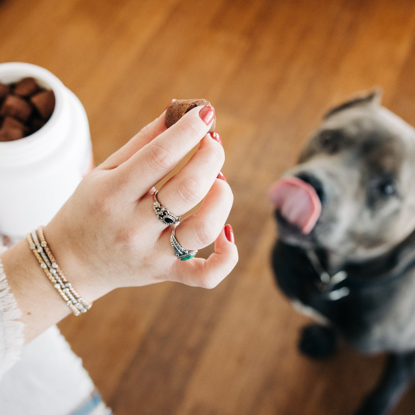 Person holding a Dr. Boes Veterinary Essentials chew for a dog.